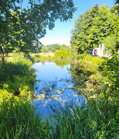Dorfteich Essinghausen